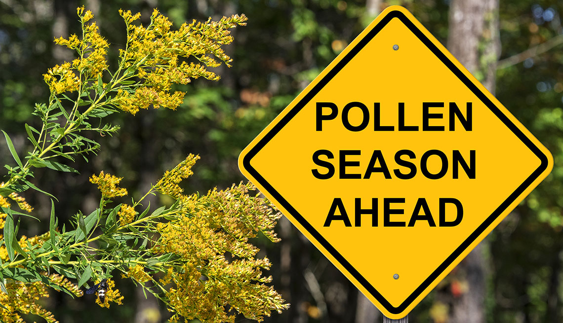 Pollen Allergy – Symptoms, Cause & Treatments